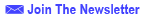 Marketing Newsletter